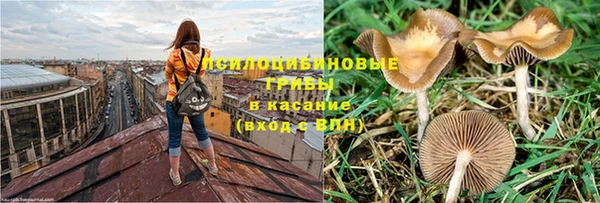ГАЛЛЮЦИНОГЕННЫЕ ГРИБЫ Ладушкин