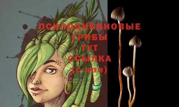 ГАЛЛЮЦИНОГЕННЫЕ ГРИБЫ Ладушкин