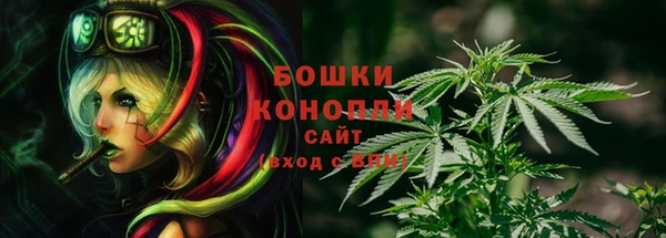ГАЛЛЮЦИНОГЕННЫЕ ГРИБЫ Ладушкин