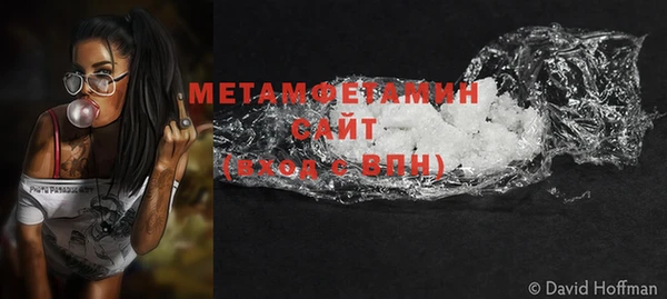 ГАЛЛЮЦИНОГЕННЫЕ ГРИБЫ Ладушкин