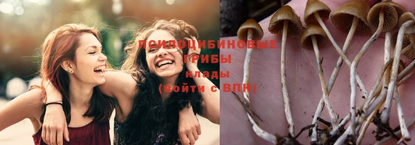 ГАЛЛЮЦИНОГЕННЫЕ ГРИБЫ Ладушкин