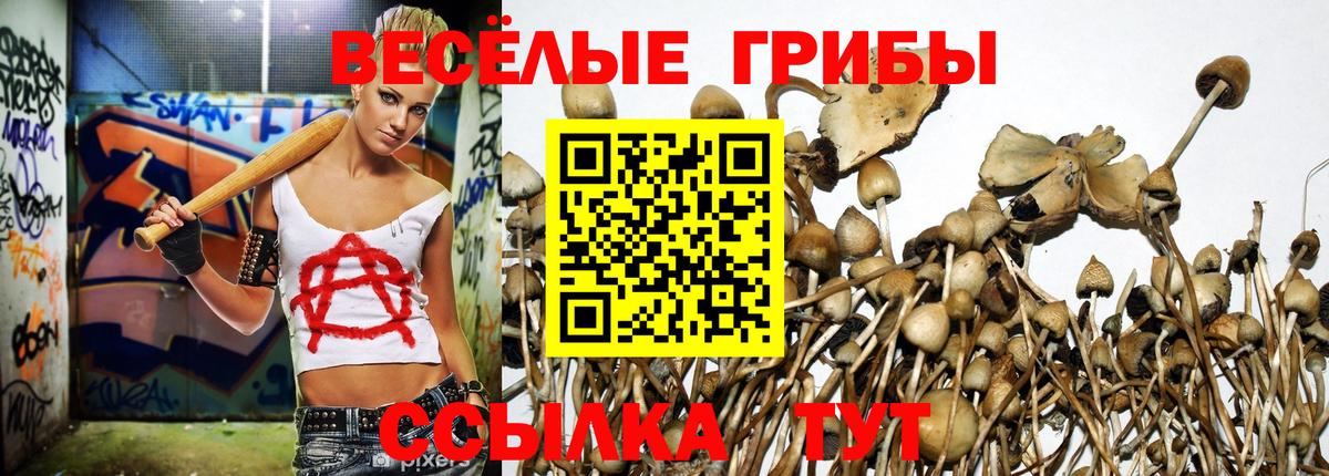 Псилоцибиновые грибы мухоморы  где найти   Уфа  Вход с VPN  Псилоцибиновые грибы GOLDEN TEACHER 