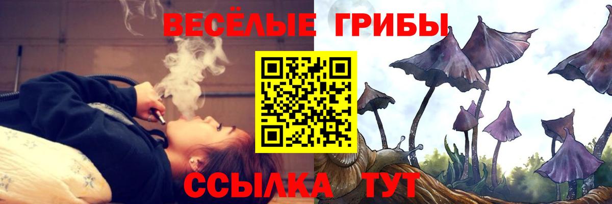 Галлюциногенные грибы Psilocybe Уфа